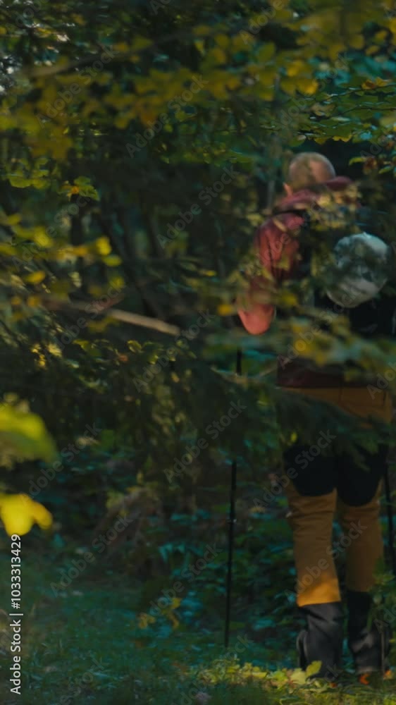Vertical Screen: Hiker walking through a lush forest trail, carrying a backpack with trekking poles. Concept of outdoor exploration, backpacking, adventure, and connection with nature Vertical Screen: Hiker walking through a lush forest trail, carrying a backpack with trekking poles. Concept of outdoor exploration, backpacking, adventure, and connection with nature
