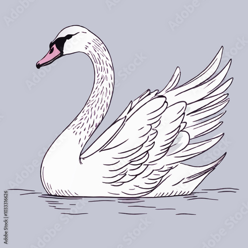 swan sketch vector