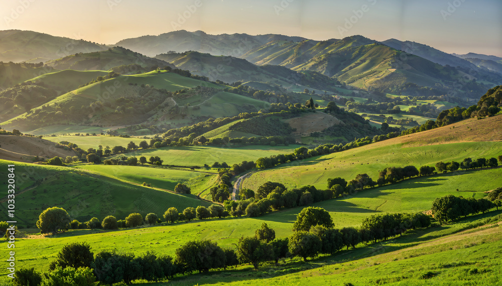 Fototapeta premium Paysage de collines verdoyantes au coucher du soleil