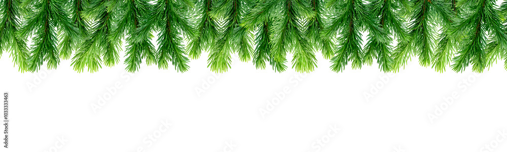 christmas pine leaf border background with branches christmas pine leaf border background with branches