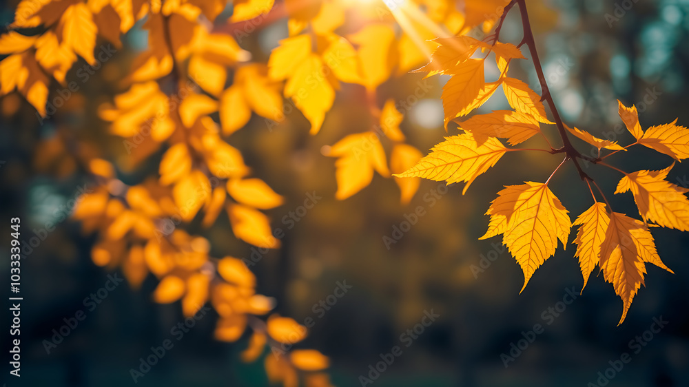 Beautiful golden leaves in autumn sunny day in foreground and blurry forest background. Fall seasonal closeup, picturesque nature. Calming relaxing tranquil leaves peaceful wallpaper. AI generated Beautiful golden leaves in autumn sunny day in foreground and blurry forest background. Fall seasonal closeup, picturesque nature. Calming relaxing tranquil leaves peaceful wallpaper. AI generated