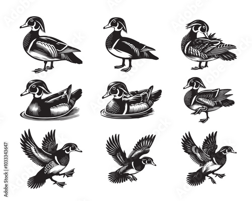 Collection of Wood Duck Outline Design - Cute Wood Duck Vector illustration in black and white
