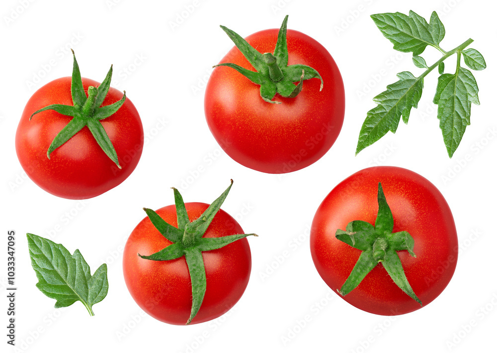 fresh tomato with green leaves isolated on white background. clipping path fresh tomato with green leaves isolated on white background. clipping path
