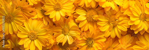 Vibrant Yellow Flower Pattern Blossoming with Natural Warmth and Aesthetic Appeal