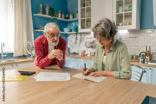 in bright kitchen an elderly neat cute couple at the table count their expenses monthly payment summing up the results of the year utilities counting monthly survival photo