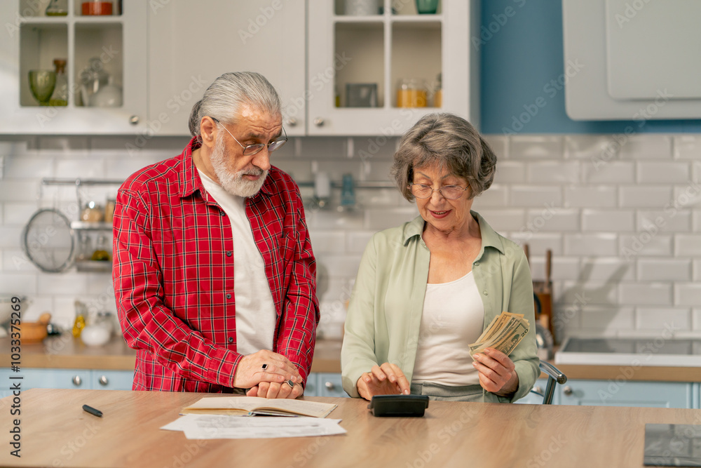 in bright kitchen an elderly cute couple at the table count their expenses monthly payment summing up the results of the year utilities count monthly survival count money in bright kitchen an elderly cute couple at the table count their expenses monthly payment summing up the results of the year utilities count monthly survival count money