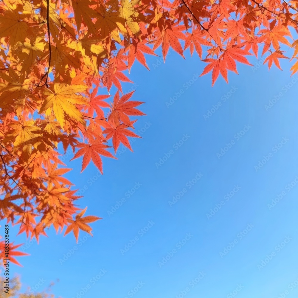Vibrant Orange Leaves Against Clear Sky Vibrant Orange Leaves Against Clear Sky