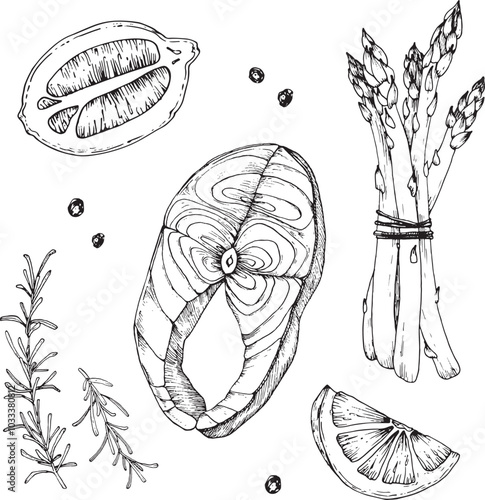 Salmon, lemon, asparagus and pepper set of black and white sketches hand drawn with ink. Elements for cooking healthy food with fish. Objects for design of recipe, label, restaurant menu.