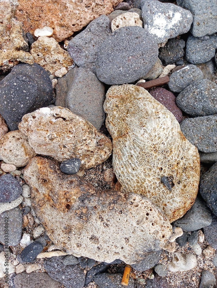 Portrait of coral rocks on the beach Portrait of coral rocks on the beach