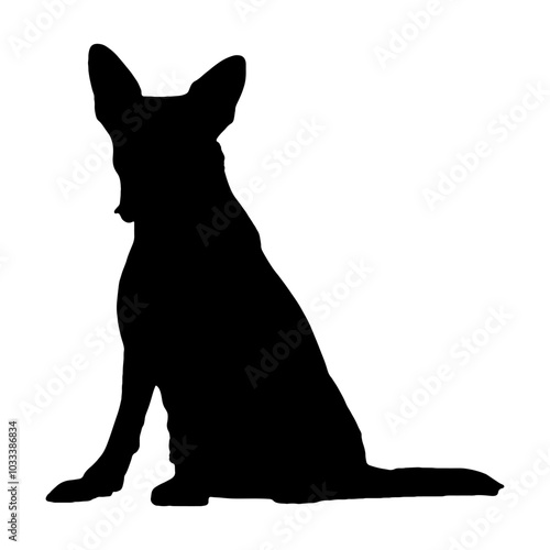 silhouette of sitting dog