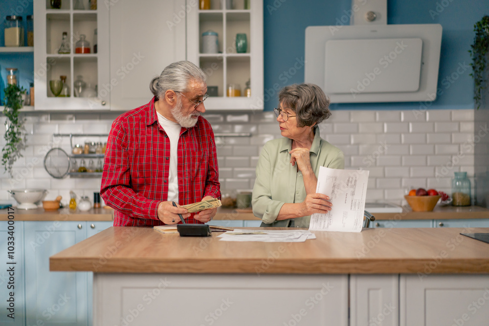 in bright kitchen an elderly cute couple at the table count their expenses monthly payment summing up the results of the year utilities count monthly survival count money in bright kitchen an elderly cute couple at the table count their expenses monthly payment summing up the results of the year utilities count monthly survival count money