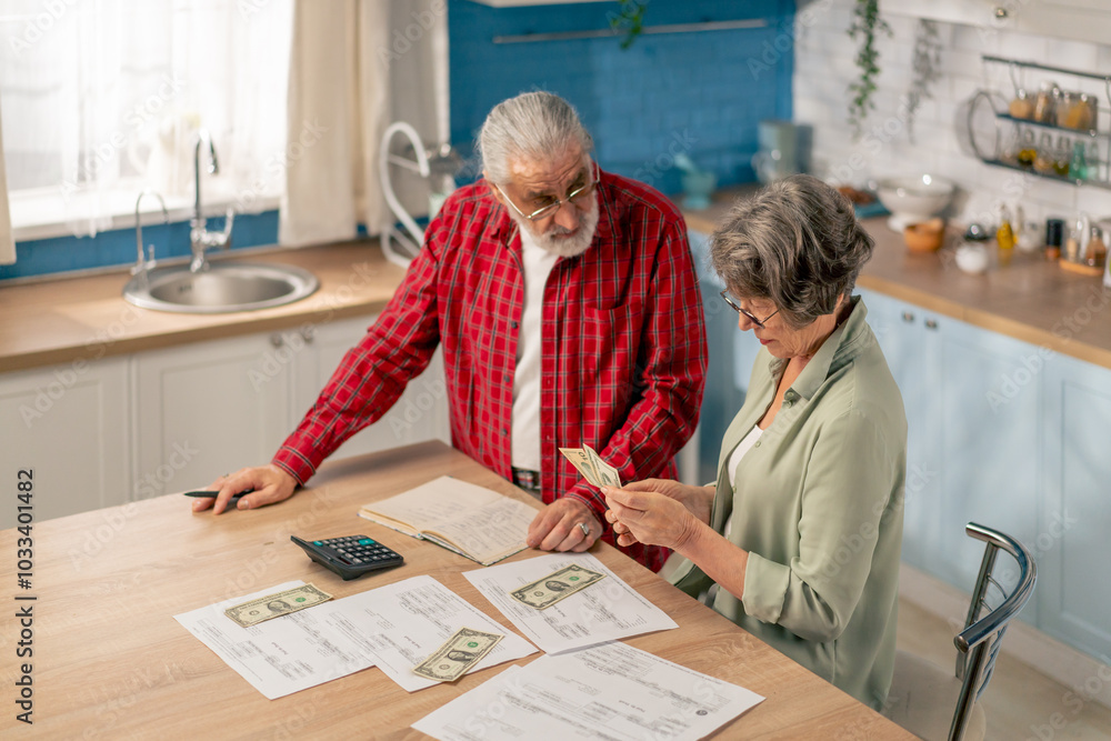in bright kitchen an elderly cute couple at the table count their expenses monthly payment summing up the results of the year utilities count monthly survival count money in bright kitchen an elderly cute couple at the table count their expenses monthly payment summing up the results of the year utilities count monthly survival count money