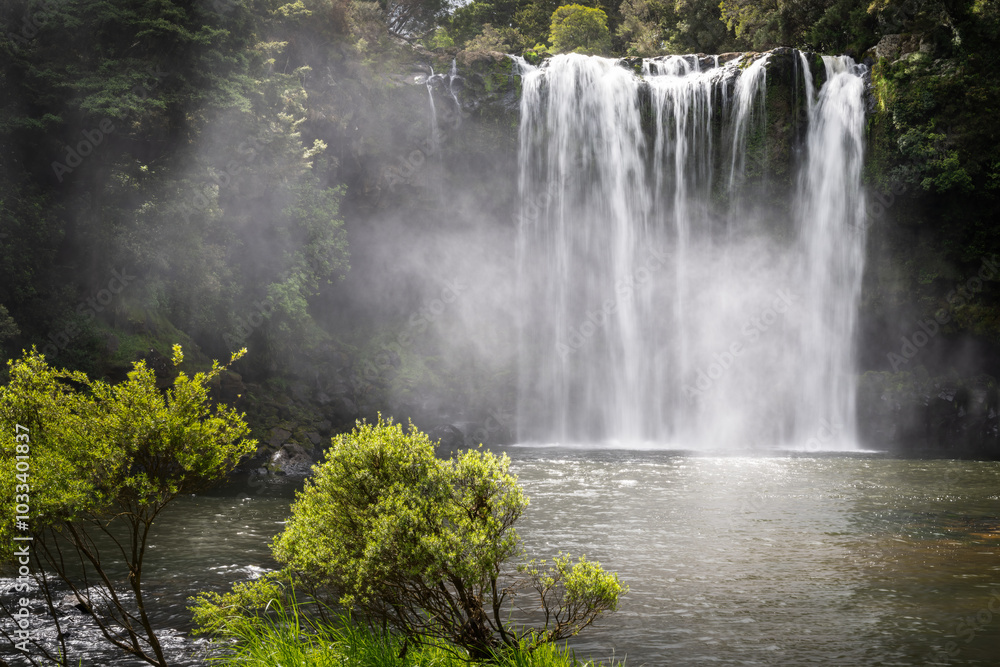 Rainbow Falls in Kerikeri. Northland. New Zealand.