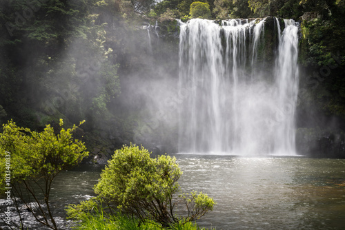 Obraz na płótnie Rainbow Falls in Kerikeri. Northland. New Zealand. w salonie