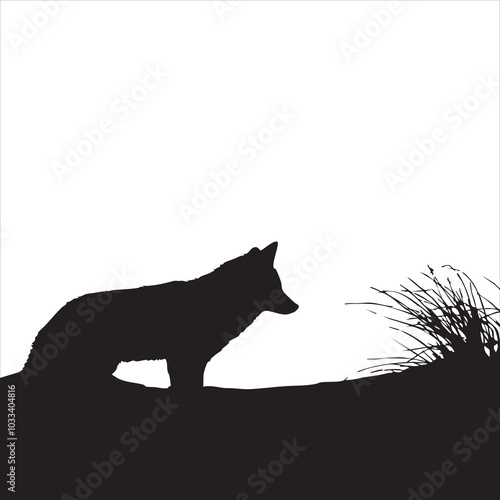 Silhouette of a lone wolf against a stark white background with grass.