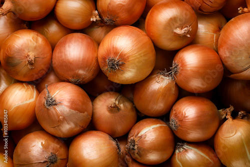 Onion bulb background. Top view