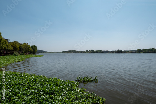 Vista panorâmica sobre o lago da Pateira de Fermentelos num dia ensolarado em Portugal photo