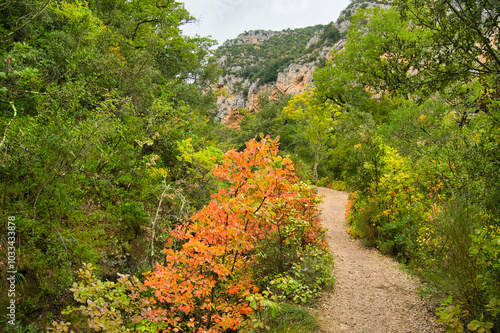 Basses Gorges du Verdon in den Alpes de Haute Provence photo