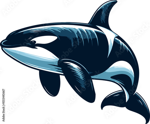 Orca vector image and illustration.