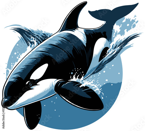 Orca vector image and illustration.