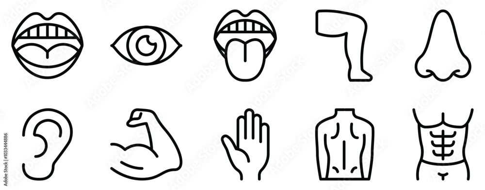 Human Body Icon Set Anatomical Line Style Collection for Health and Wellness Human Body Icon Set Anatomical Line Style Collection for Health and Wellness