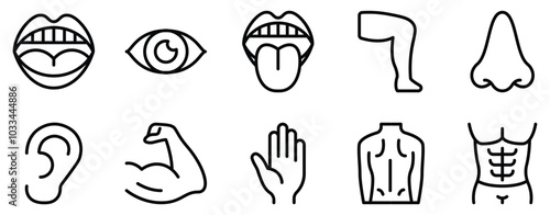 Human Body Icon Set Anatomical Line Style Collection for Health and Wellness