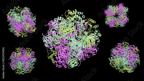 Rubisco protein structure, illustration photo