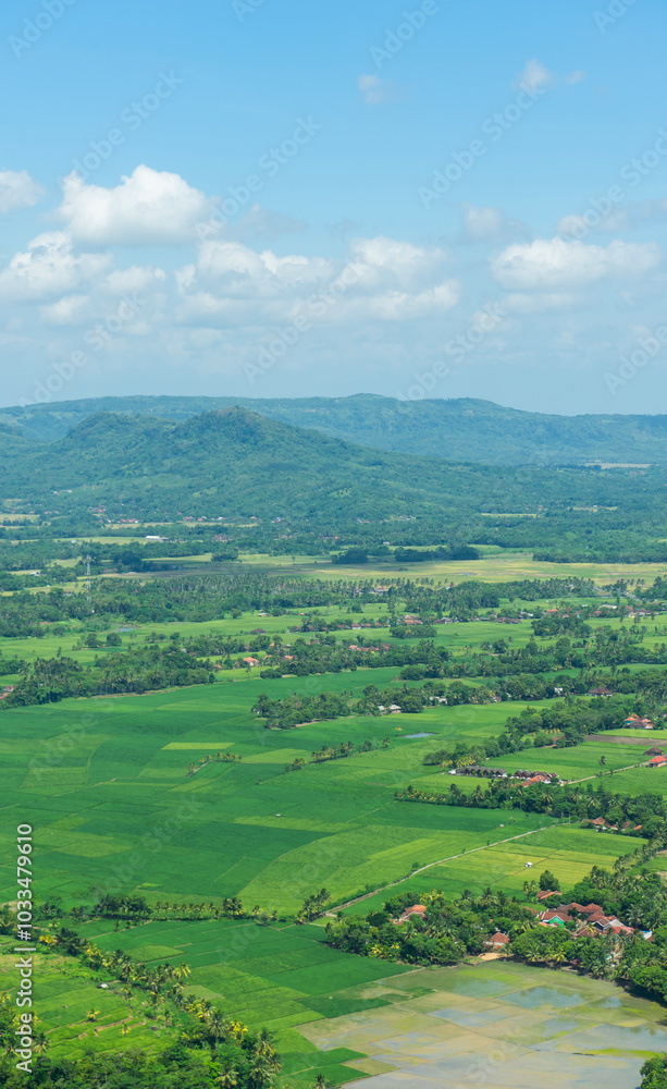 Fototapeta premium View from above, expanse of rice fields and rural atmosphere in the Ciletuh Geopark area, Sukabumi, West Java, Indonesia. The Ciletuh area has been designated as a UNESCO Global Geopark.