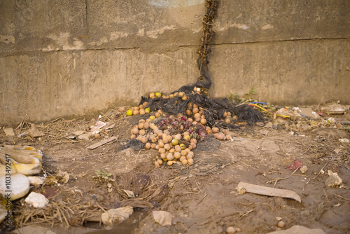 Ritual Debris by Durga Immersion Site, Visarjan Pond Debris: Pots and Sacred Cloth Stock Photo. photo