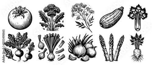 charming hand-drawn collection of fresh vegetables showcasing vibrant details black vector,