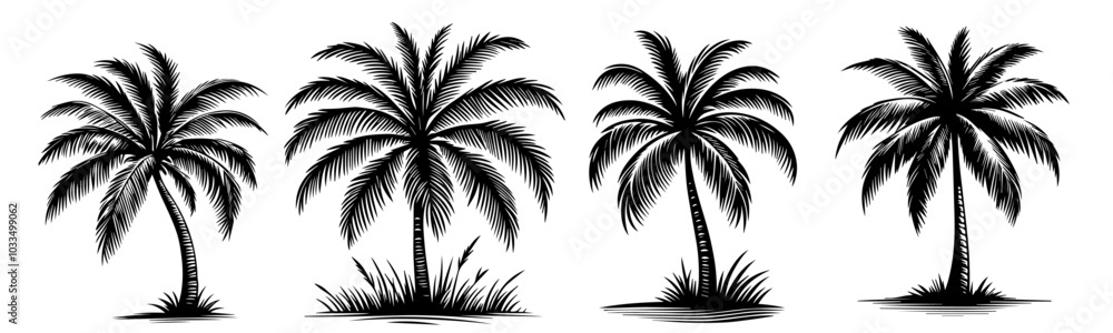 Fototapeta premium tropical palm tree illustrations set in black vector line art for creative design
