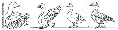 stylish goose silhouette in minimal monoline illustration black vector