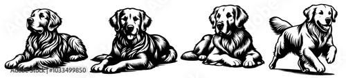 dog in action with multiple poses realistic vector black vector