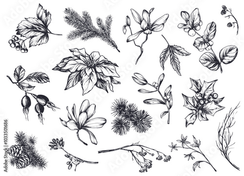 Vector collection of hand drawn flowers, plants, branches and pine cones in black and white vintage style.