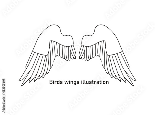 vector hand drawn birds wings collection set