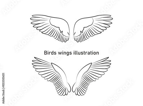 vector hand drawn birds wings collection set