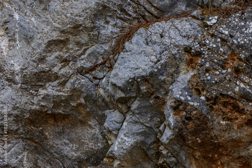 Texture of rugged limestone rocks with moss and lichen in a natural outdoor setting during daylight hours Texture of rugged limestone rocks with moss and lichen in a natural outdoor setting during daylight hours