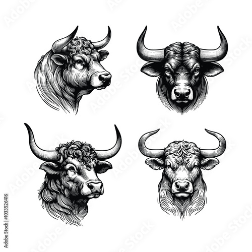 set of hand drawn bull head illustration. black and white bull vector sketch illustration