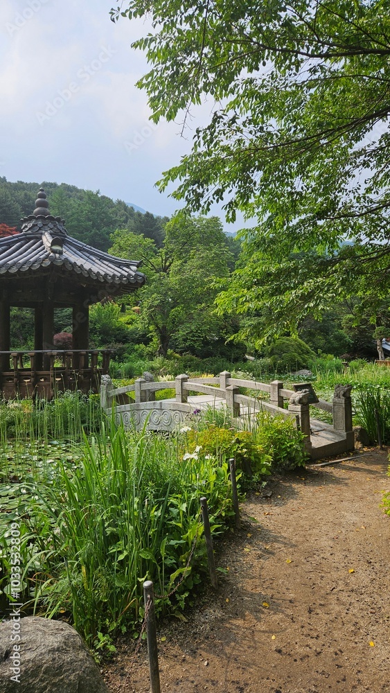 In a beautiful forest with a pavilion In a beautiful forest with a pavilion