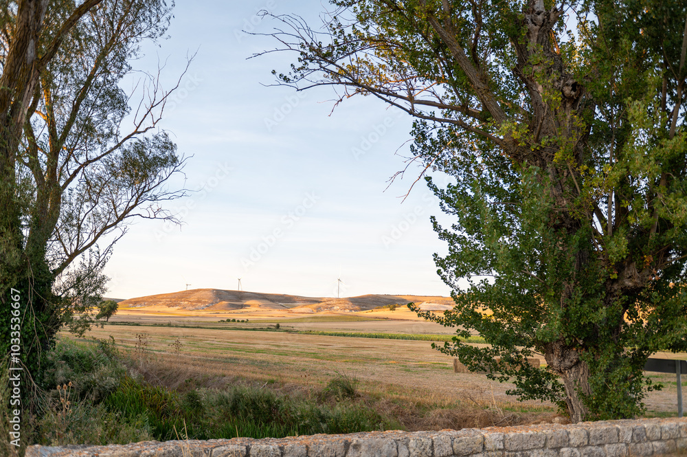 Cereal Table of Castilla y Leon, on the St. James Way in autumn 2024 Cereal Table of Castilla y Leon, on the St. James Way in autumn 2024