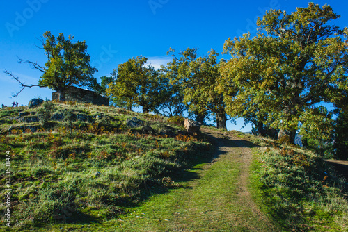 a scenic hillside path bordered by oak trees under a vibrant blue sky, leading up to a small stone structure