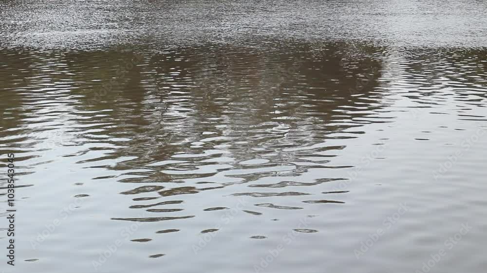 River water surface detail background River water surface detail background