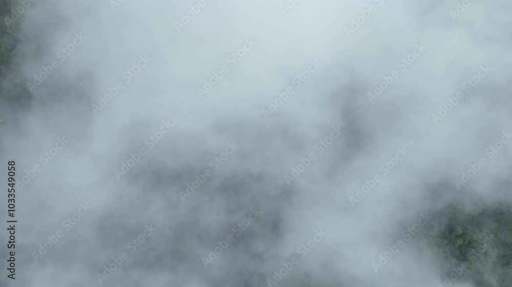 Top view of village in the lush green rain cloud and foggy cover tropical rain forest mountain during the rainy season. Aerial view of mountain peak with green trees in fog. Beautiful landscape with Top view of village in the lush green rain cloud and foggy cover tropical rain forest mountain during the rainy season. Aerial view of mountain peak with green trees in fog. Beautiful landscape with