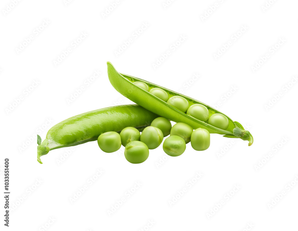 Isolated Fresh Green Beans on Transparent Background Isolated Fresh Green Beans on Transparent Background
