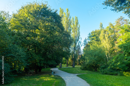Fototapeta Naklejka Na Ścianę i Meble -  A winding path through a lush green park on a sunny day