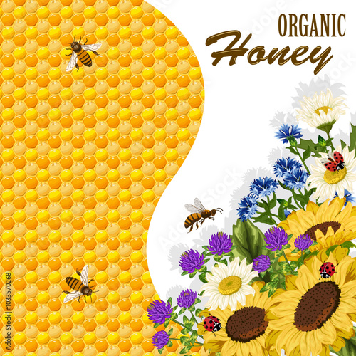 Illustration with flowers and honeycombs.Bouquet of flowers, bees and honey background in vector illustration with text.