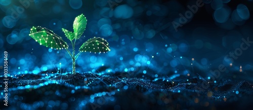 plant sprout with glowing network lines on dark background. Futuristic technology concept.