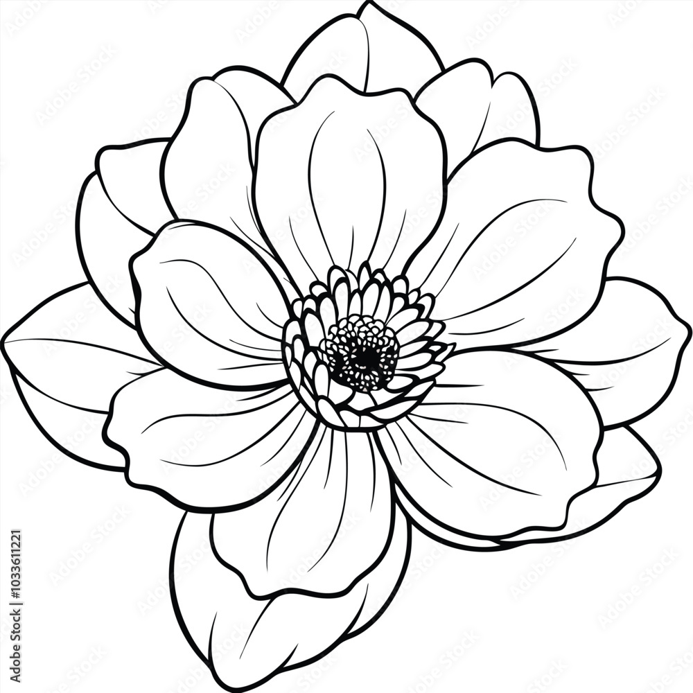 hand-drawn-zinnia-flower-vector line art hand-drawn-zinnia-flower-vector line art