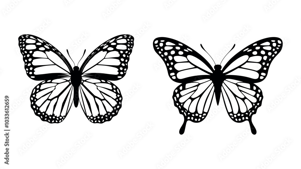 Obraz premium Butterfly silhouette of a butterfly isolated vector eps illustration