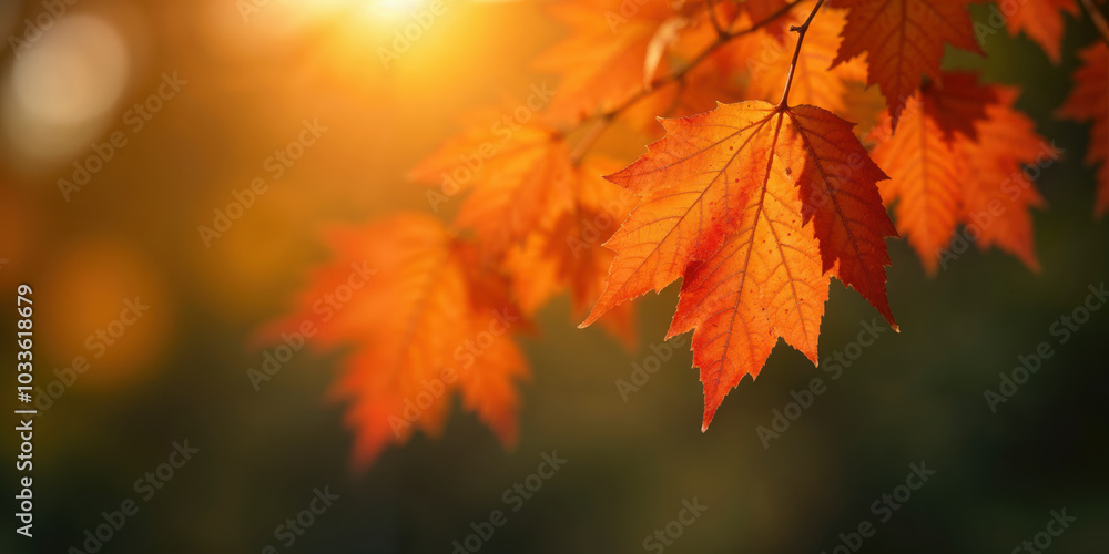 Golden Leaf Embrace-1 Golden Leaf Embrace-1
